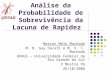 Análise da Probabilidade de Sobrevivência da Lacuna de Rapidez Mairon Melo Machado M. B. Gay Ducati e M. V. T. Machado UFRGS – Universidade Federal do