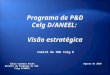 Programa de P&D Celg D/ANEEL: Visão estratégica Elbio Cardoso Rocha Gerente do Programa de P&D Celg D/ANEEL Agosto de 2010 Comitê de P&D Celg D