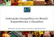 Ministério da Agricultura, Pecuária e Abastecimento. Indicação Geográfica no Brasil: Experiências e Desafios
