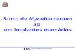 Surto de Mycobacterium sp em implantes mamários. Problema 06/04/04: notificação de 6 casos de M. fortuitum pelo IAL Central ao CVE Notificação de 1 caso