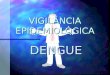 VIGILÂNCIA EPIDEMIOLÓGICA DENGUE 1 2 3 4 TRANSMISSÃO DO DENGUE