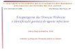Etiopatogenia das Doenças Priônicas e identificação genética do agente infeccioso Vilma Regina Martins, PhD Instituto Ludwig de Pesquisa sobre o Câncer