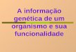 A informação genética de um organismo e sua funcionalidade
