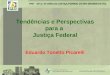 Tendências e Perspectivas para a Justiça Federal Eduardo Tonetto Picarelli