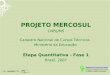 PROJETO MERCOSUL CNPq/MS Cadastro Nacional de Cursos Técnicos Ministério da Educação Etapa Quantitativa - Fase 1 Brasil, 2007