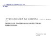 O negócio florestal no Brasil AT410-QUIMICA DA MADEIRA – Prof. Dr. Umberto Klock CURSO DE ENGENHARIA INDUSTRIAL MADEIREIRA Fevereiro de 2008