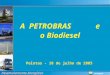 Desenvolvimento Energético PETROBRAS A PETROBRAS e o Biodiesel Pelotas - 18 de julho de 2005