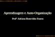 Aprendizagem e Auto-Organização Profª Adriana Benevides Soares