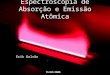Espectroscopia de Absorção e Emissão Atômica Erik Galvão 15/04/2008