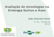 Avaliação de tecnologias na Embrapa Suínos e Aves João Dionísio Henn D. Sc. Zootecnia SPAT