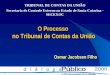 O Processo no Tribunal de Contas da União Osmar Jacobsen Filho TRIBUNAL DE CONTAS DA UNIÃO Secretaria de Controle Externo no Estado de Santa Catarina -