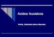 Ácidos Nucleicos Profa. Gabriela Alves Macedo. Tópicos da aula Estrutura dos ácidos nucléicos e nucleotídeos Importância dos ácidos nucléicos e nucleotídeos