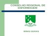 CONSELHO REGIONAL DE ENFERMAGEM MINAS GERAIS. CÂMARA TÉCNICA DE ATENÇÃO BÁSICA COREN MG 2006, 2007, 2008, 2009, 2010 e 2011