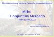 Milho Conjuntura Mercado horizonte 2010 SILVIO FARNESE Secretaria de Política Agrícola Ministério da Agricultura, Pecuária e Abastecimento São Paulo, 15