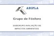 Grupo de Fósforo SUBGRUPO AVALIAÇÃO DE IMPACTOS AMBIENTAIS