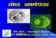 VÍRUS HERPÉTICOS Profa. Cláudia Maria Oliveira Simões, CIF/CCS MIP 5213 – Virologia Básica e Clínica