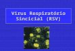 Virus Respiratório Sincicial (RSV). Descrito em 1956 A infecção acidental em humanos levou ao reconhecimento do papel deste vírus em infecções humanas