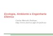 Ecologia, Ambiente e Engenharia Elétrica Carlos Marcelo Pedroso 
