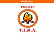 Projeto V.I.D.A. Uma iniciativa: Realização: Equipe do Projeto V.I.D.A. CEGP-TI 4