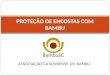 ASSOCIAÇÃO CATARINENSE DO BAMBU PROTEÇÃO DE ENCOSTAS COM BAMBU