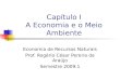 Capítulo I A Economia e o Meio Ambiente Economia de Recursos Naturais Prof. Rogério César Pereira de Araújo Semestre 2009.1