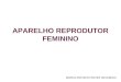 APARELHO REPRODUTOR FEMININO MARCO ANTONIO PRATES NIELEBOCK