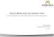 NOVO MERCADO DE RENDA FIXA A construção de um mercado local de dívida de longo prazo Enilce Melo Assessoria Econômica 6/2/13