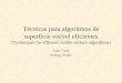 Técnicas para algoritmos de superfície visível eficientes (Techniques for efficient visible-surface algorithms) Fabio Utzig Rodrigo Senger