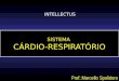 SISTEMA CÁRDIO-RESPIRATÓRIO Prof.:Marcello Spolidoro INTELLECTUS