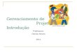 Gerenciamento de Projetos Introdução Professora : Denise Neves 2011