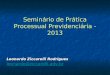Seminário de Prática Processual Previdenciária - 2013 Leonardo Ziccarelli Rodrigues leonardo@ziccarelli.adv.br
