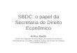 SBDC: o papel da Secretaria de Direito Econômico Arthur Badin Chefe de Gabinete da Secretaria de Direito Econômico Presidente do Conselho Federal Gestor