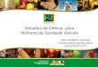 Desafios da Defesa para Melhoria da Sanidade Avícola Ellen Elizabeth Laurindo Fiscal Federal Agropecuário SEDESA/SFA-PR