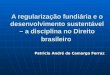 A regularização fundiária e o desenvolvimento sustentável – a disciplina no Direito brasileiro Patricia André de Camargo Ferraz