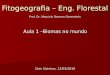 Fitogeografia – Eng. Florestal Aula 1 –Biomas no mundo Dois Vizinhos, 12/03/2010 Prof. Dr. Mauricio Romero Gorenstein
