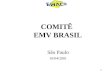 1 São Paulo 10/04/2001 COMITÊ EMV BRASIL. 2 Introdução EMV