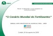 O Cenário Mundial de Fertilizantes BIENAL DOS NEGÓCIOS DA AGRICULTURA – 2009 Cuiabá, 20 de agosto de 2009 Painel: Fertilizantes e seus impactos na renda