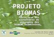 1 Luciana de Paiva Luquez Assessora Técnica da Comissão Nacional do Meio Ambiente PROJETO BIOMAS Proteção e uso sustentável de paisagens dos biomas brasileiros