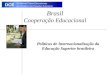 Divisão de Temas Educacionais do Ministério das Relações Exteriores DCE Brasil Cooperação Educacional Políticas de Internacionalização da Educação Superior