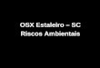 OSX Estaleiro – SC Riscos Ambientais. Empreendedor Consultoria (EIA) Órgão Licenciador Licença Ambiental LICENCIAMENTO AMBIENTAL