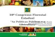 10º Congresso Florestal Estadual As Políticas Públicas e a Silvicultura Elvison Nunes Ramos Fiscal Federal Agropecuário – Eng. Agrônomo Coordenador de