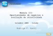 Módulo III: Oportunidades de negócios e avaliação de atratividade Setembro 2009 - Cuiabá Rodrigo F. Gatti