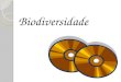 Biodiversidade. Introdução Os CDs de áudio (Compact disc) surgiram como evolução do disco de goma laca em 1870, na época ainda sob divergência entre seu