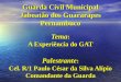 Tema : A Experiência do GAT Palestrante : Cel. R/1 Paulo César da Silva Alípio Comandante da Guarda Guarda Civil Municipal Jaboatão dos Guararapes Pernambuco