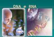 DNA e RNA. Substâncias químicas envolvidas na transmissão de caracteres hereditários e na produção de proteínas. São ácidos nucléicos encontrados em todas