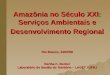 Amazônia no Século XXI: Serviços Ambientais e Desenvolvimento Regional Rio Branco, 19/07/08 Bertha K. Becker Laboratório de Gestão do Território – LAGET