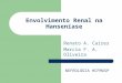 Envolvimento Renal na Hanseníase Renato A. Caires Marcia F. A. Oliveira NEFROLOGIA HCFMUSP