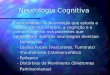 Neurologia Cognitiva Especialidade da Neurologia que estuda a relação entre o cérebro, a cognição e o comportamento nos pacientes que apresentam doenças