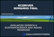 ECORIVER SEMINÁRIO FINAL AVALIAÇÃO QUÍMICA E ECOTOXICOLÓGICA DAS ÁGUAS RESIDUAIS Projecto LIFE02/ENV/P/000416