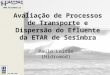 ISO 9001:2000 Avaliação de Processos de Transporte e Dispersão do Efluente da ETAR de Sesimbra Paulo Leitão (Hidromod)